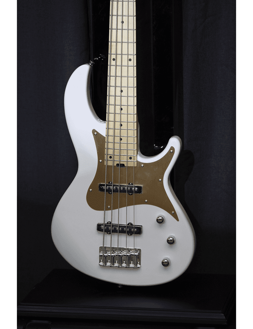 Aria Pro Ii Bajo Eléctrico 5 Cuerdas Rsb-618