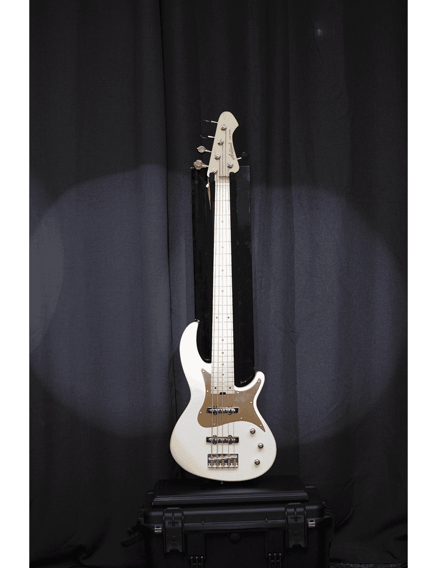 Aria Pro Ii Bajo Eléctrico 5 Cuerdas Rsb-618