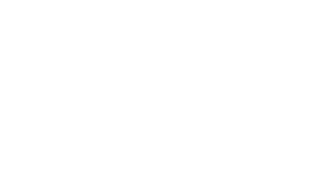 levys_leathers_logo