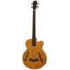 Aria Bajo Electroacústico FEB-F2 Fretless St Brown