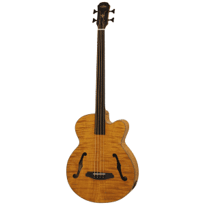 Aria Bajo Electroacústico FEB-F2 Fretless St Brown