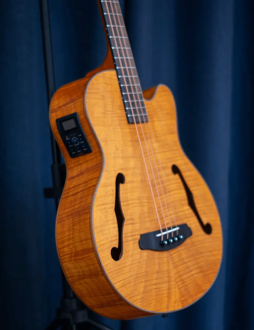 Aria Bajo Electroacústico FEB-F2 Escala Media - Imagen 2