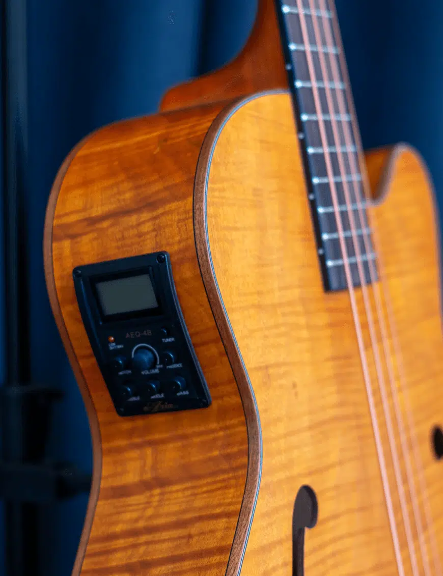 Aria Bajo Electroacústico FEB-F2 Escala Media - Imagen 3