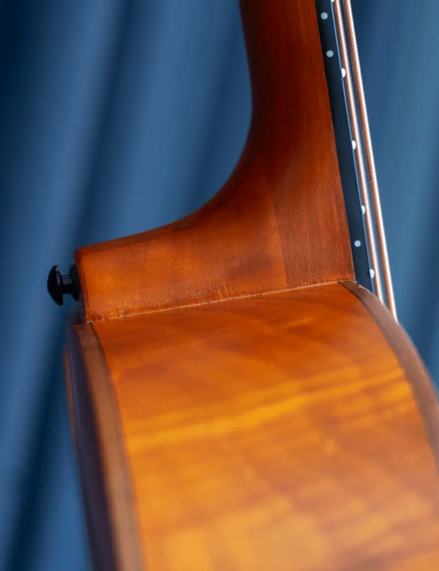 Aria Bajo Electroacústico FEB-F2 Escala Media - Imagen 4