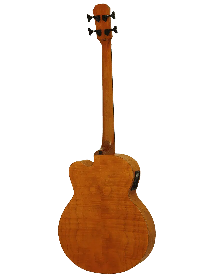 Aria Bajo Electroacústico FEB-F2 Escala Media - Imagen 6