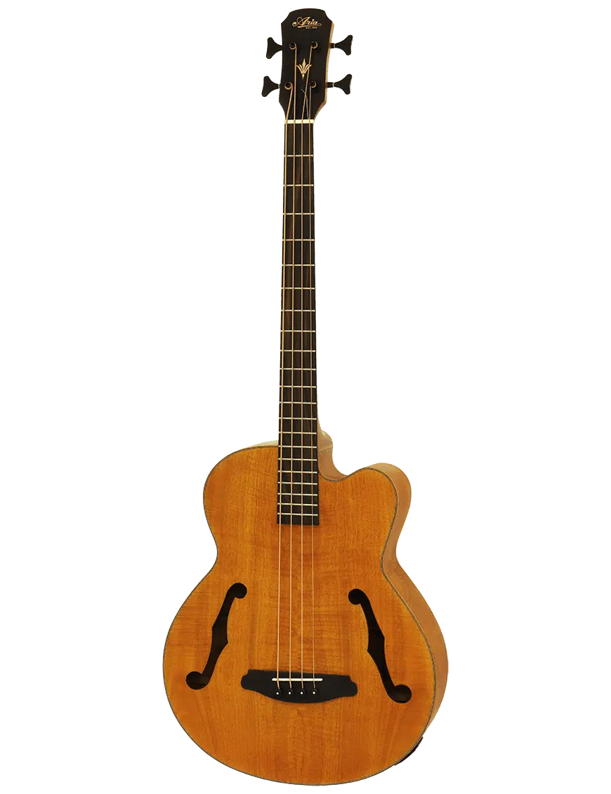 Aria Bajo Electroacústico FEB-F2 Escala Media