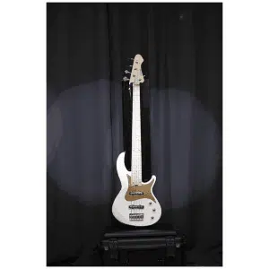 Aria Pro II Bajo Eléctrico 5 Cuerdas Rsb-618