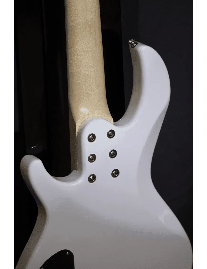 Aria Pro II Bajo Eléctrico 5 Cuerdas RSB-618 - Imagen 7