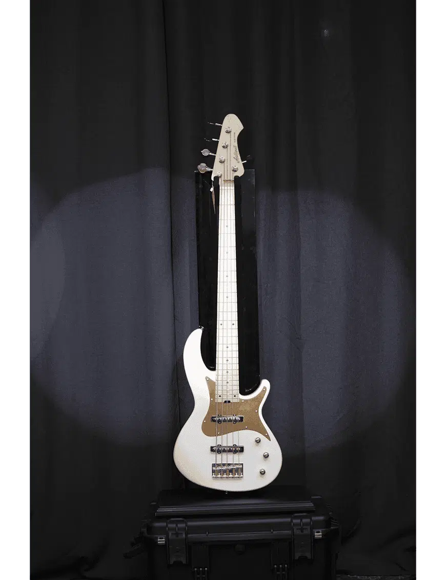 Aria Pro II Bajo Eléctrico 5 Cuerdas Rsb-618