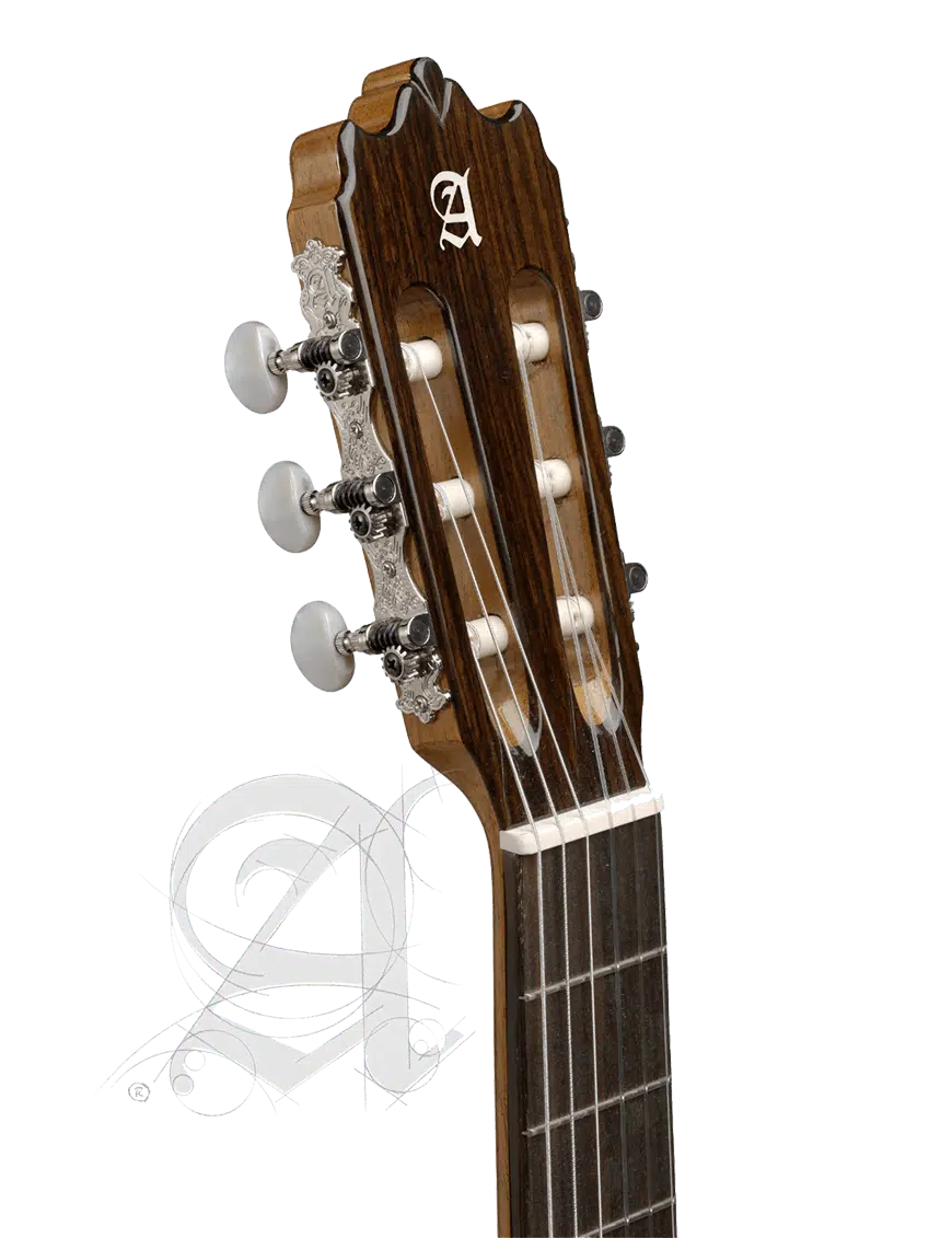 Alhambra Guitarra Clásica Concierto 8P Case 9557 - Imagen 4