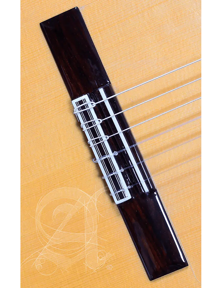 Alhambra Guitarra Flamenca Conservatorio 5F Funda 9738 - Imagen 6