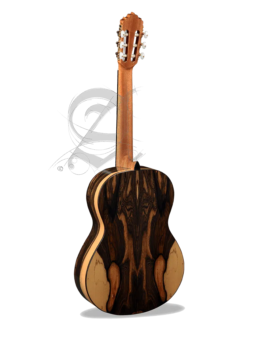 Alhambra Guitarra Clásica Conservatorio 6 Ebano Funda 9738 - Imagen 2