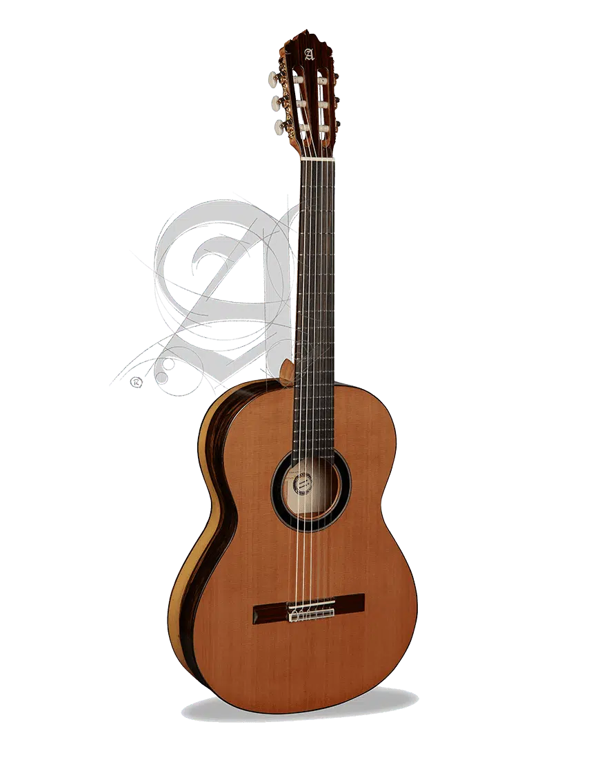 Alhambra Guitarra Clásica Conservatorio 6 Ebano Funda 9738 - Imagen 3