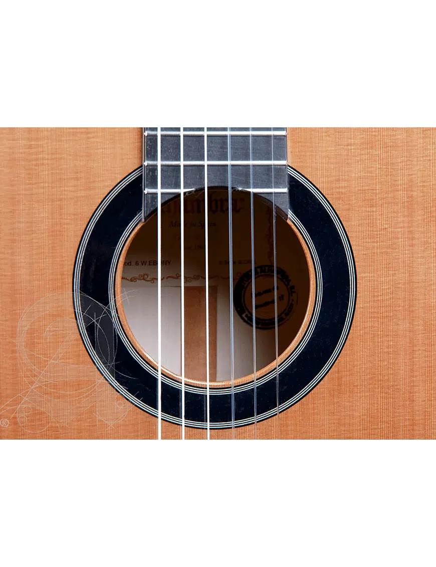 Alhambra Guitarra Clásica Conservatorio 6 Ebano Funda 9738 - Imagen 4