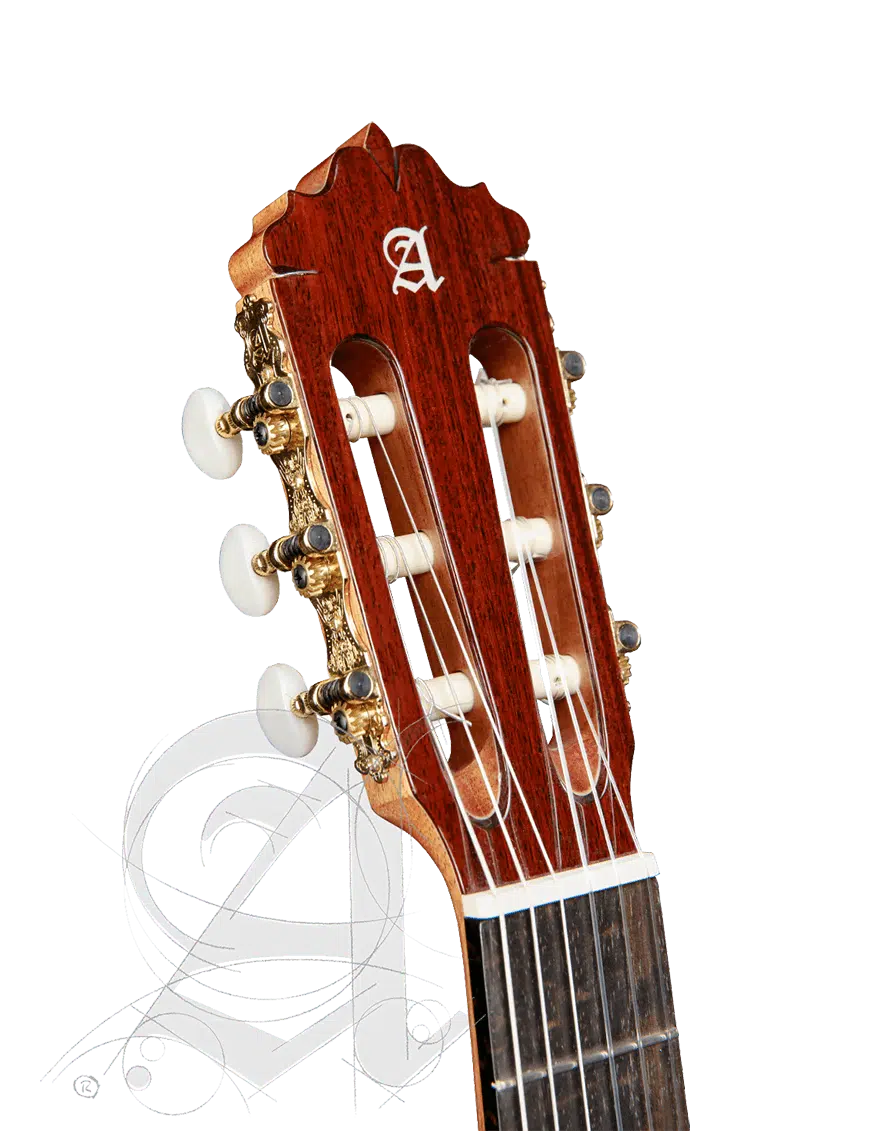 Alhambra Guitarra Clásica Conservatorio 6 Ebano Funda 9738 - Imagen 5