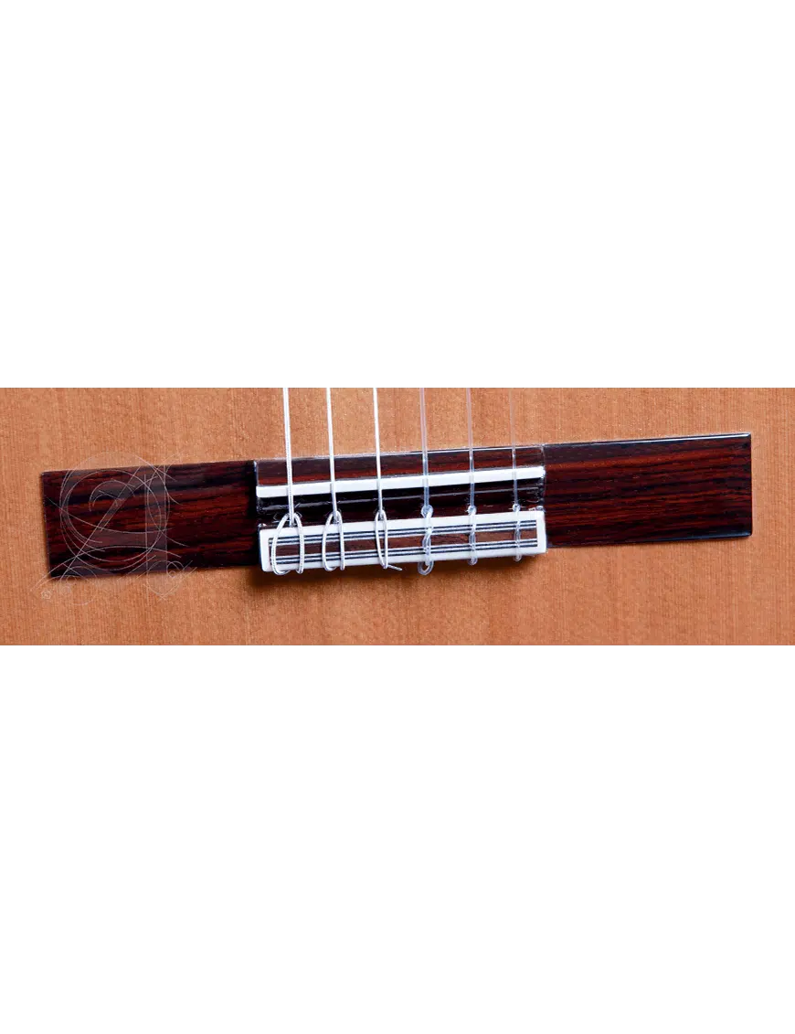 Alhambra Guitarra Clásica Conservatorio 6 Ebano Funda 9738 - Imagen 6