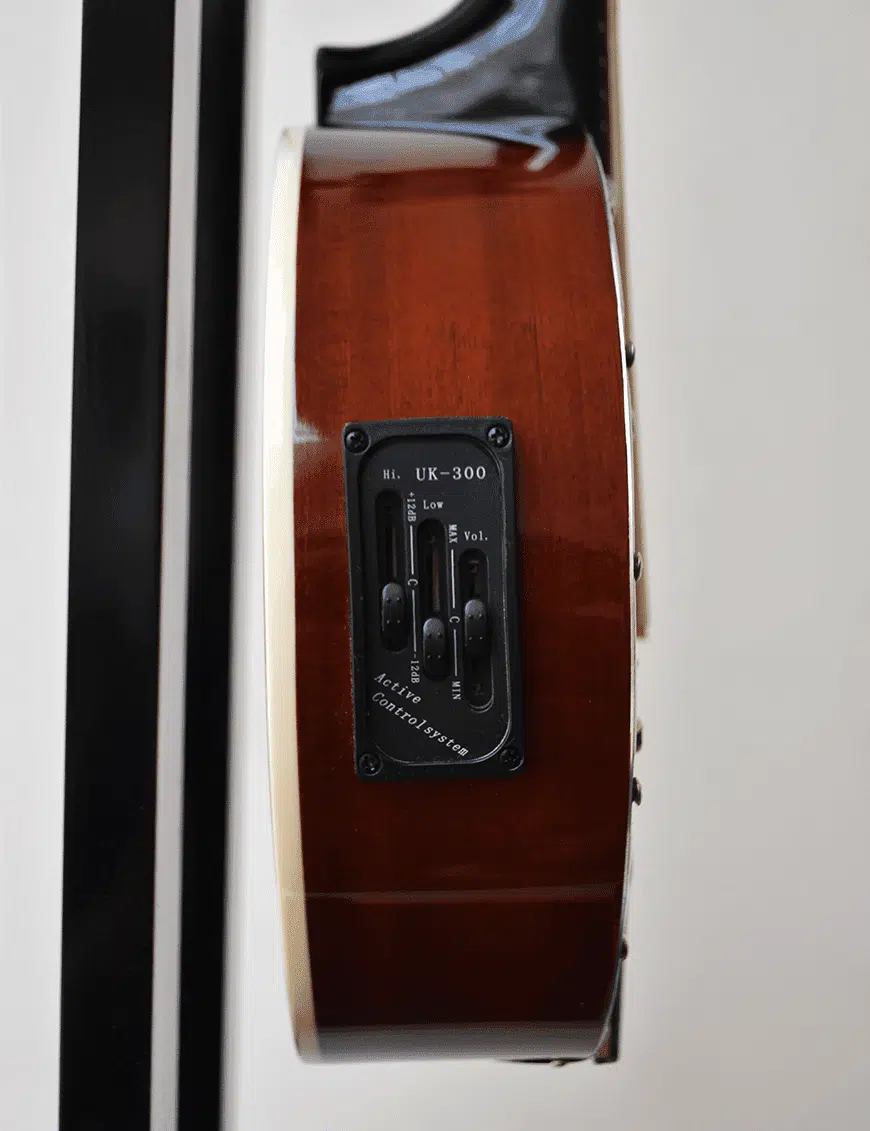 GCR Banjo Electroacústico YWBJ 10 Cuerdas con Funda - Imagen 3