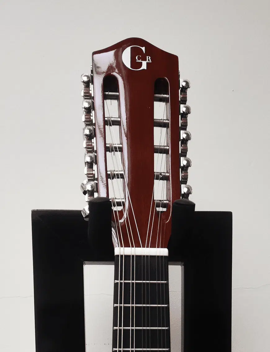 GCR Banjo Electroacústico YWBJ 10 Cuerdas con Funda - Imagen 4