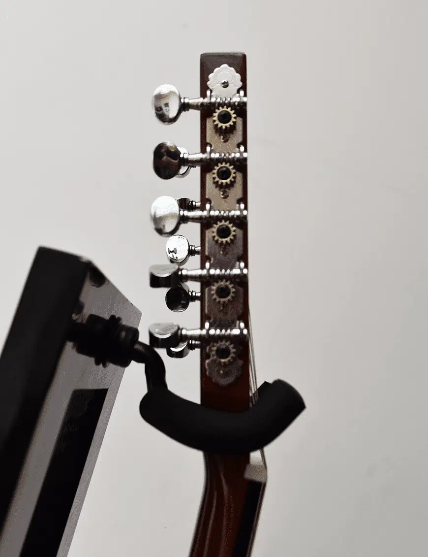 GCR Banjo Electroacústico YWBJ 10 Cuerdas con Funda - Imagen 5