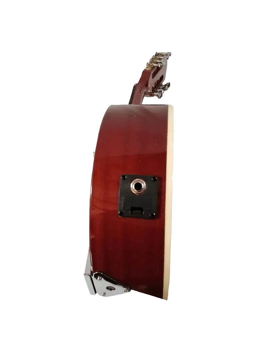 GCR Banjo Electroacústico YWBJ 10 Cuerdas con Funda - Imagen 6