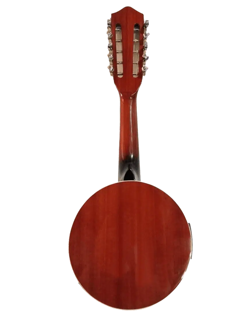 GCR Banjo Electroacústico YWBJ 10 Cuerdas con Funda - Imagen 7