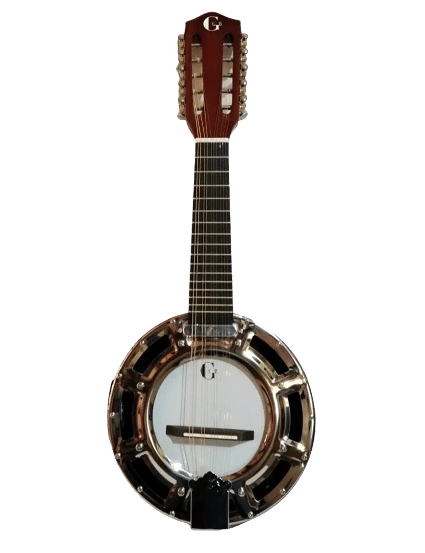 GCR Banjo Electroacústico YWBJ 10 Cuerdas con Funda