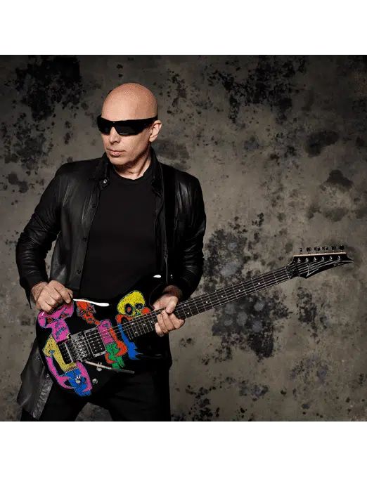 DiMarzio Capsula Humbucker DP216 BK MO Joe - Imagen 2