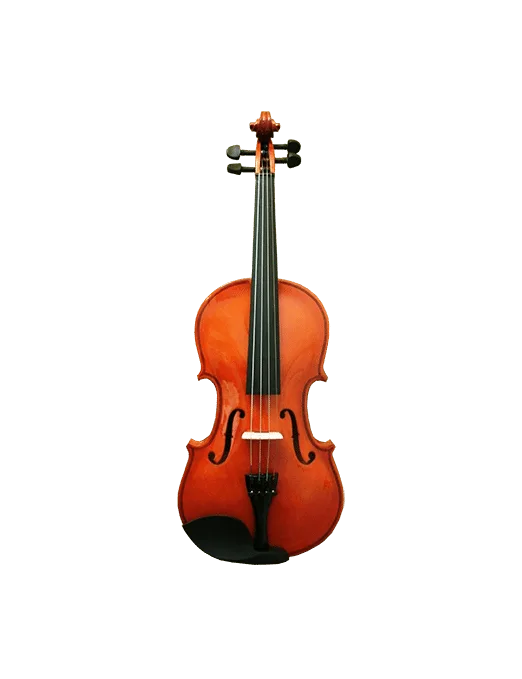 MONTAG Violín MVGL 3/4 Estudio