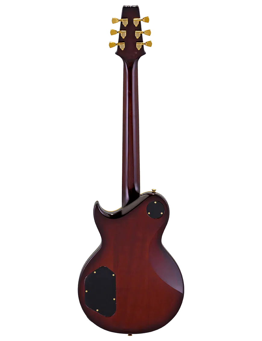 Aria Pro Ii Pe-F80 Guitarra Eléctrica Genuine Pe Pedigree Black Top - Imagen 3