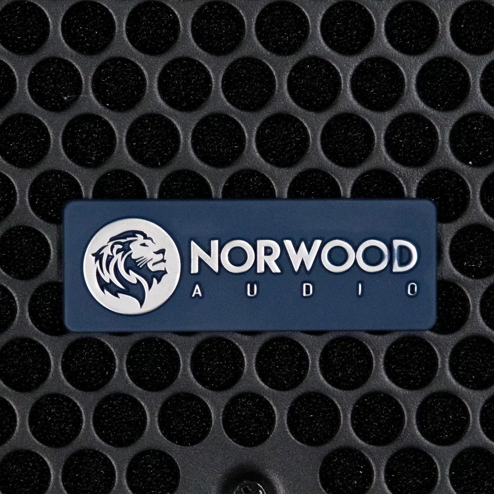 Norwood ROAR-218 Sub Bajo Activo 2x18" - Imagen 4