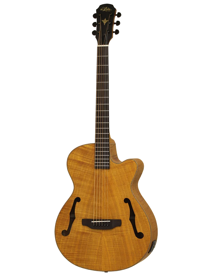 Aria® FET F2 Guitarra Electroacústica Cutaway con Funda| Stained Brown